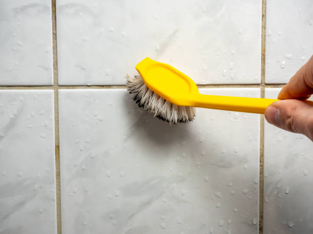 Best Mold Removal and Inspection  in Zolfo Springs, FL