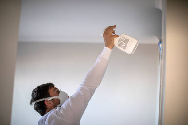 Office Mold Removal Services in Zolfo Springs, FL