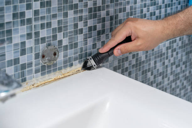 Best Mold Testing and Removal  in Zolfo Springs, FL